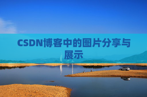 CSDN博客中的图片分享与展示